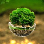 arbre